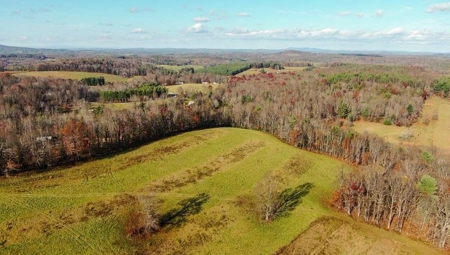 Open Pasture Land For Sale In Floyd Va! - image 44