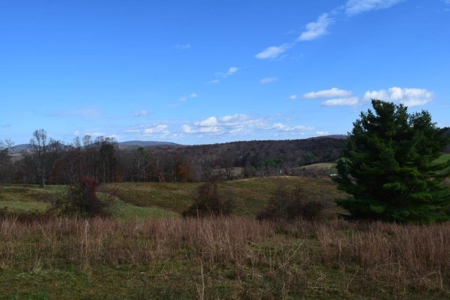 Wooded Land For Sale In Floyd Va - image 22