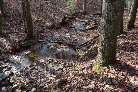 Wooded Land For Sale In Floyd Va - image 35