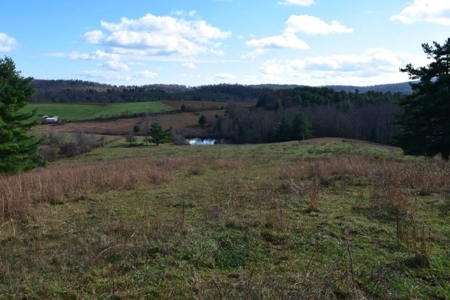 Wooded Land For Sale In Floyd Va - image 21