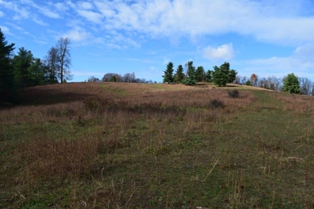 Wooded Land For Sale In Floyd Va - image 30