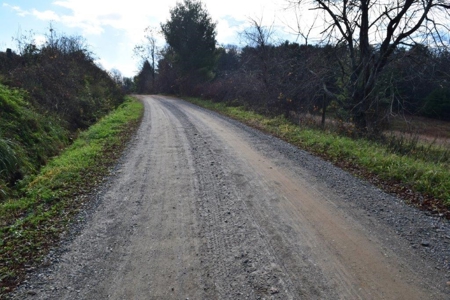 Wooded Land For Sale In Floyd Va - image 29