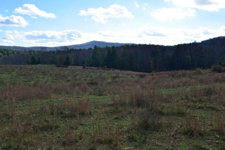 Wooded Land For Sale In Floyd Va - image 18