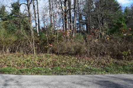 Wooded Land For Sale In Floyd Va - image 43