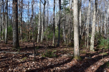 Wooded Land For Sale In Floyd Va - image 38