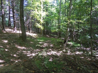 Wooded Land For Sale In Floyd Va - image 12