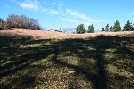 Wooded Land For Sale In Floyd Va - image 48