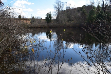 Wooded Land For Sale In Floyd Va - image 24