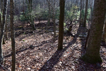Wooded Land For Sale In Floyd Va - image 46
