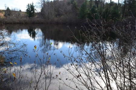 Wooded Land For Sale In Floyd Va - image 25
