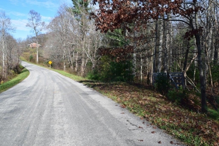 Wooded Land For Sale In Floyd Va - image 41