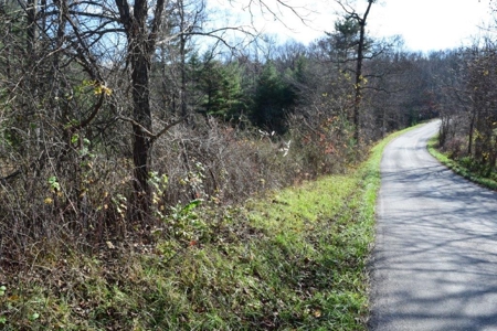 Wooded Land For Sale In Floyd Va - image 44