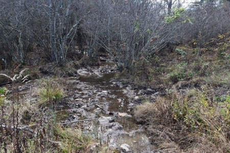 Wooded Land For Sale In Floyd Va - image 26