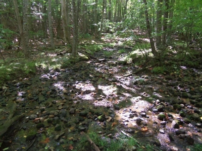 Wooded Land For Sale In Floyd Va - image 11