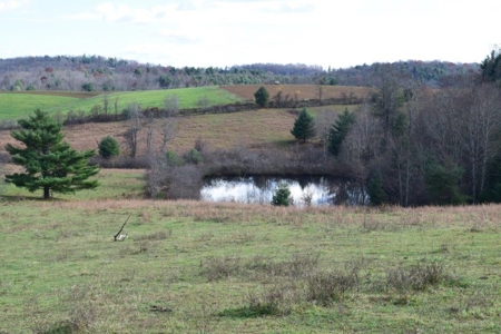 Wooded Land For Sale In Floyd Va - image 23