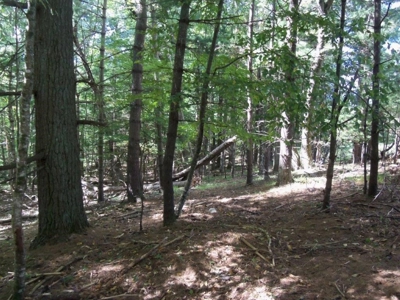 Wooded Land For Sale In Floyd Va - image 10