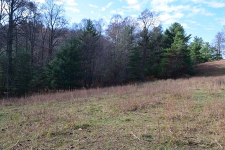 Wooded Land For Sale In Floyd Va - image 31