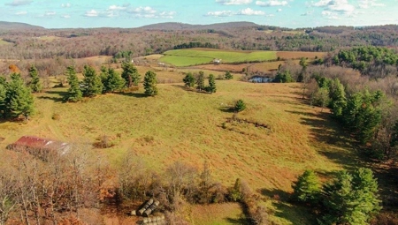 Wooded Land For Sale In Floyd Va - image 1