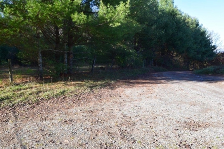 Wooded Land For Sale In Floyd Va! - image 45