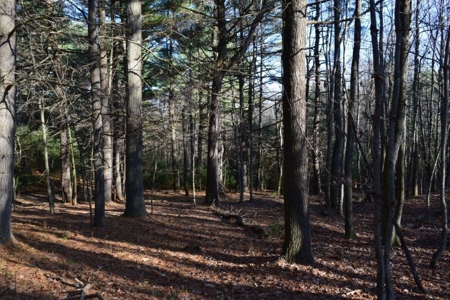 Wooded Land For Sale In Floyd Va! - image 26