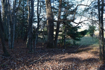 Wooded Land For Sale In Floyd Va! - image 36