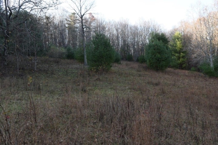 Wooded Land For Sale In Floyd Va! - image 46