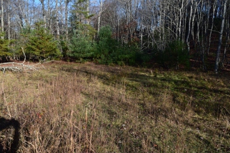 Wooded Land For Sale In Floyd Va! - image 6