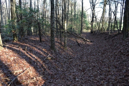 Wooded Land For Sale In Floyd Va! - image 20