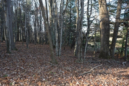 Wooded Land For Sale In Floyd Va! - image 37