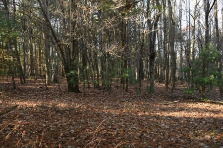 Wooded Land For Sale In Floyd Va! - image 35