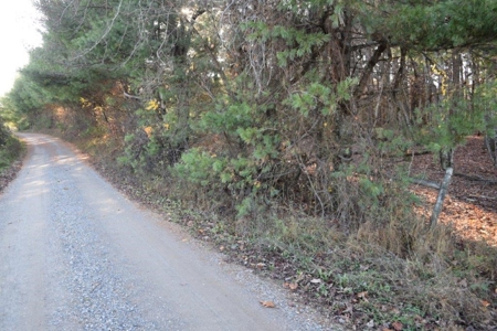 Wooded Land For Sale In Floyd Va! - image 42