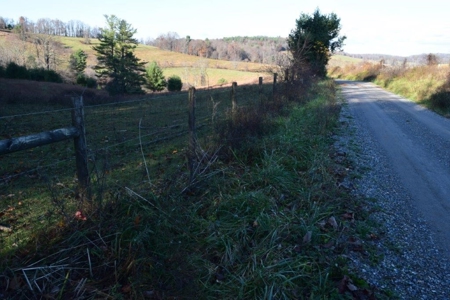 Wooded Land For Sale In Floyd Va! - image 41
