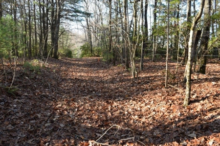 Wooded Land For Sale In Floyd Va! - image 22