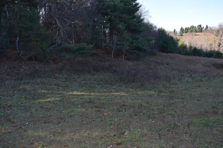 Wooded Land For Sale In Floyd Va! - image 38