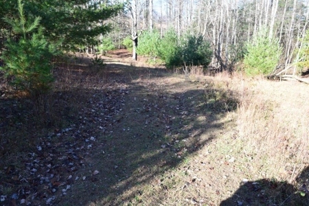 Wooded Land For Sale In Floyd Va! - image 7