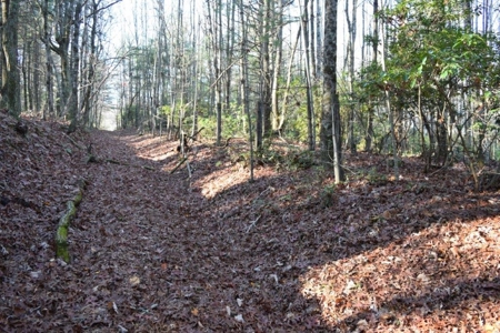 Wooded Land For Sale In Floyd Va! - image 21