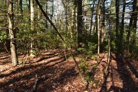 Wooded Land For Sale In Floyd Va! - image 23