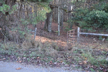 Wooded Land For Sale In Floyd Va! - image 43