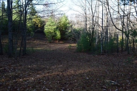 Wooded Land For Sale In Floyd Va! - image 29