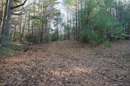 Wooded Land For Sale In Floyd Va! - image 28