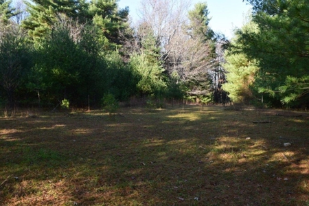 Wooded Land For Sale In Floyd Va! - image 33
