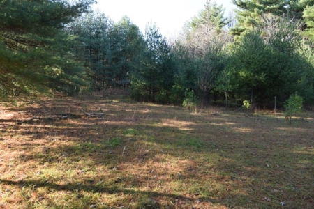 Wooded Land For Sale In Floyd Va! - image 34