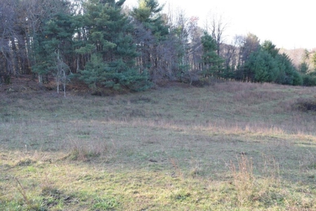 Wooded Land For Sale In Floyd Va! - image 39