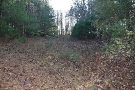 Wooded Land For Sale In Floyd Va! - image 27