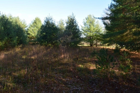 Wooded Land For Sale In Floyd Va! - image 32