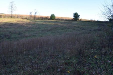 Wooded Land For Sale In Floyd Va! - image 40
