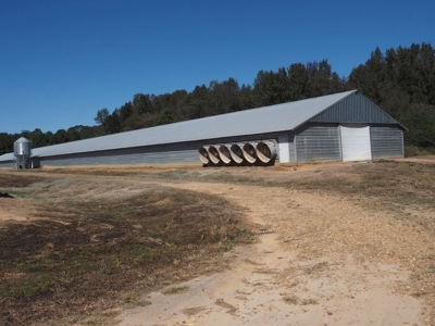 Nice 4 House Poultry Broiler Farm with 43 Acres Central MS - image 11