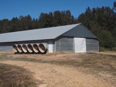 Nice 4 House Poultry Broiler Farm with 43 Acres Central MS - image 9