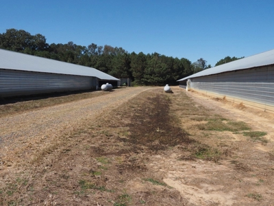 Nice 4 House Poultry Broiler Farm with 43 Acres Central MS - image 5