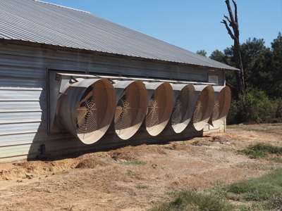 Nice 4 House Poultry Broiler Farm with 43 Acres Central MS - image 13